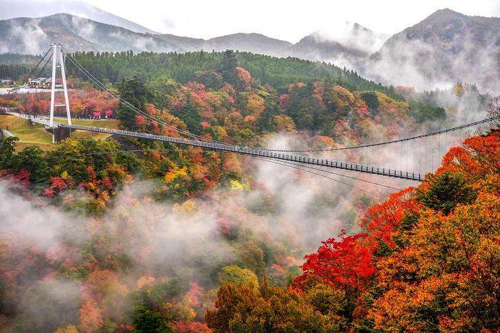 日本最高的行人吊桥【九重“梦”大吊桥】九州旅游之美景第三篇